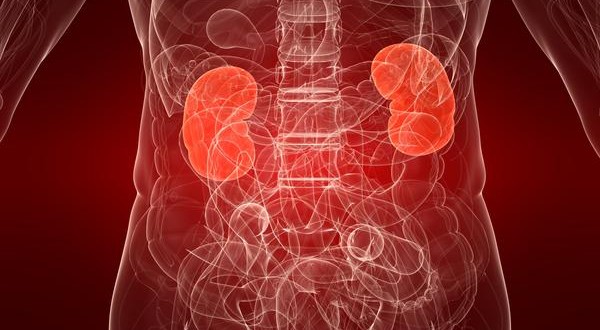 kidneys-health